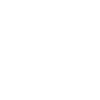 icon law